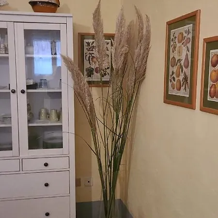 Luisa In Palazzo Bianchi بارما