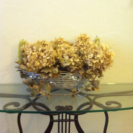 Luisa In Palazzo Bianchi *