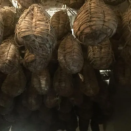 شقة Luisa In Palazzo Bianchi بارما