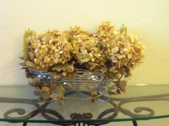 Luisa In Palazzo Bianchi *