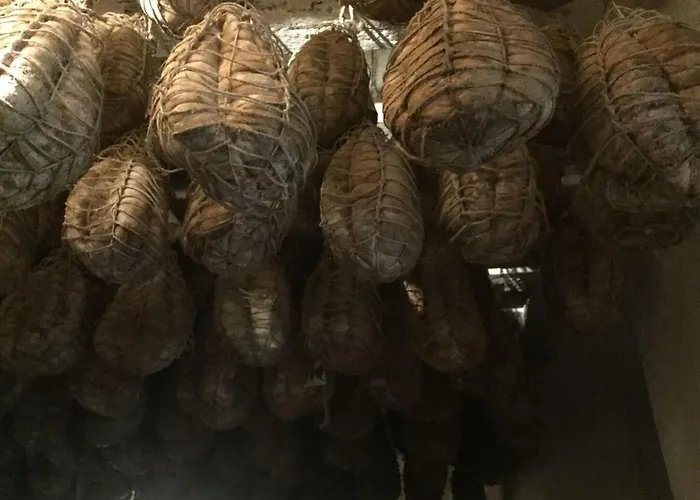 Appartement Luisa In Palazzo Bianchi Parma